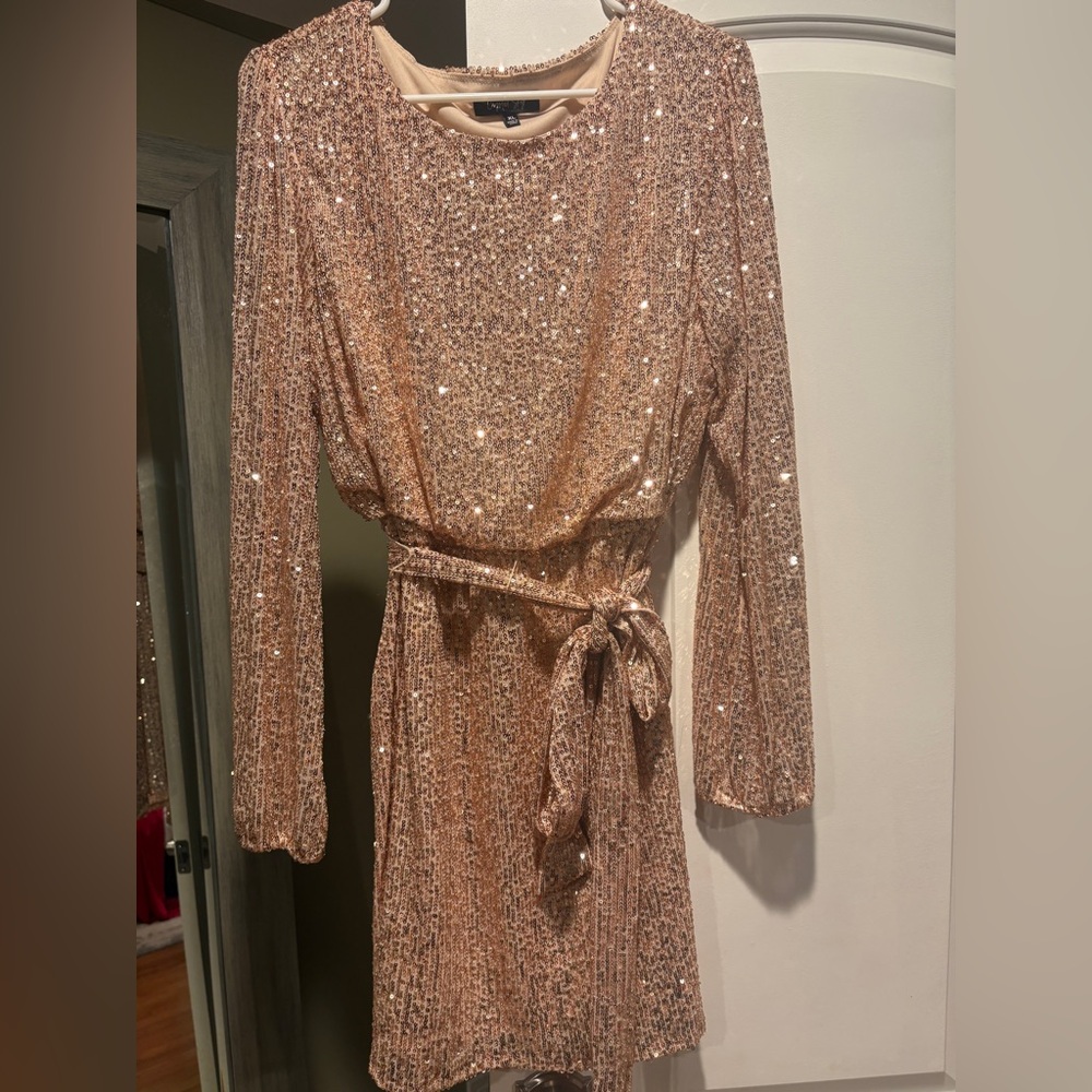 Long sleeve sequin dress. Champagne color.